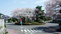 20060406-22.jpg