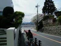 20060406-29.jpg