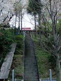 20060406-31.jpg